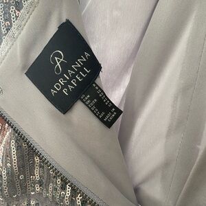 Adrianna Papell Shimmering Silver Gown